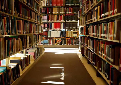 安徽大学图书馆